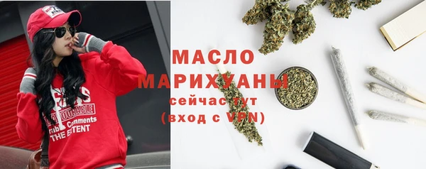 индика Дмитриев