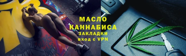 индика Дмитриев