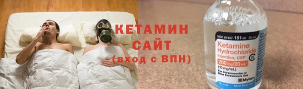 индика Дмитриев