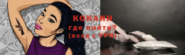 индика Дмитриев