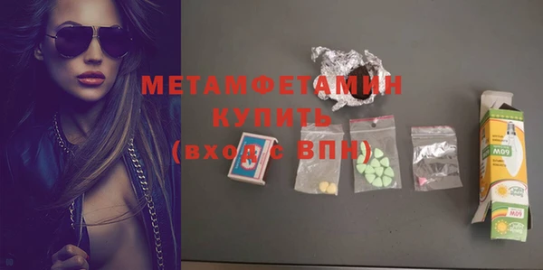 индика Дмитриев