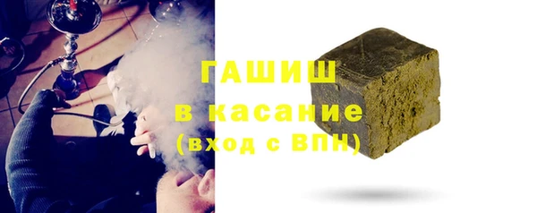 индика Дмитриев