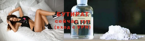 индика Дмитриев