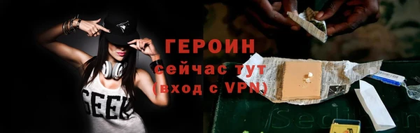 индика Дмитриев