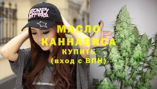 индика Дмитриев