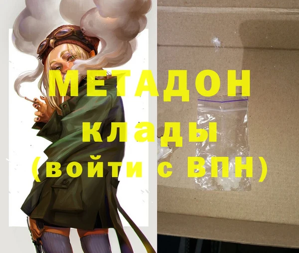 индика Дмитриев
