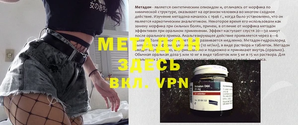 индика Дмитриев