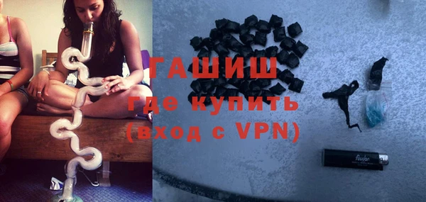 индика Дмитриев