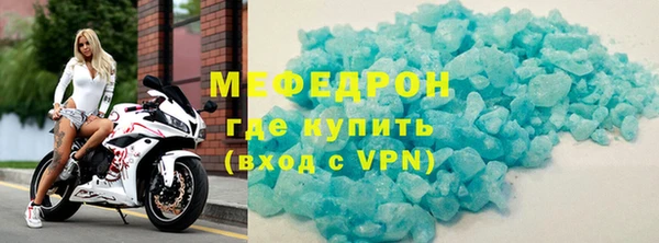 индика Дмитриев