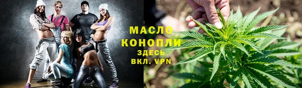 индика Дмитриев