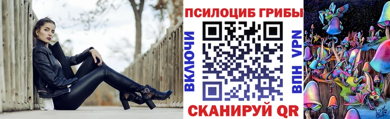 Купить где  Ипатово  Галлюциногенные грибы GOLDEN TEACHER 